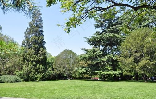 北京紫竹院公园景观草坪图片