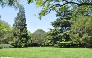 北京紫竹院公园景观草坪图片