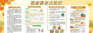 健康教育宣传栏图片