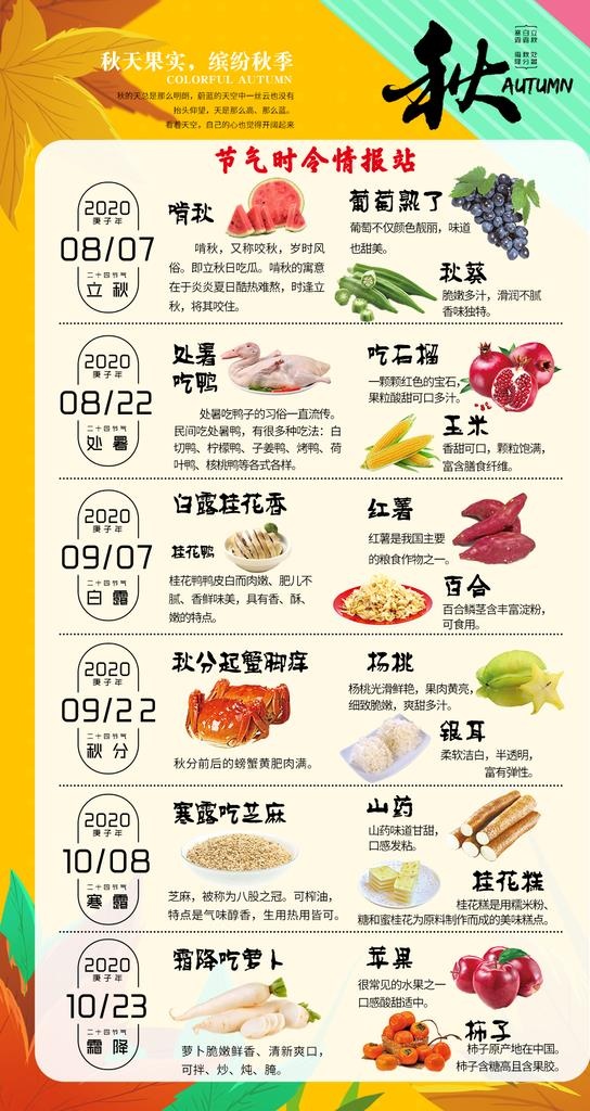 秋季时令推荐图片(1080x1920)psd模版下载