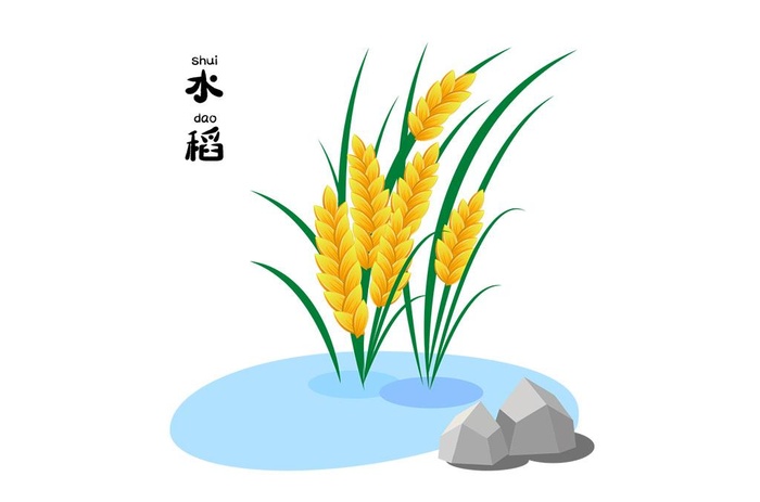 稻子图片ai矢量模版下载
