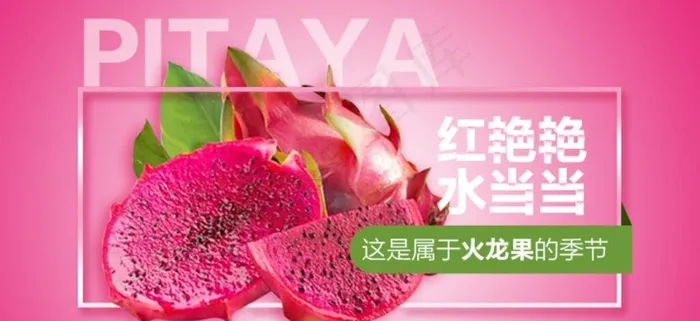 火龙果广告图片psd模版下载