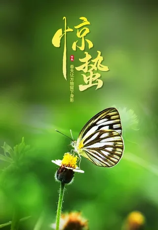 惊蛰海报图片