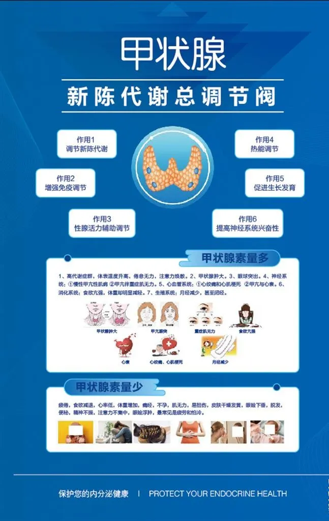 美容院图片ai矢量模版下载
