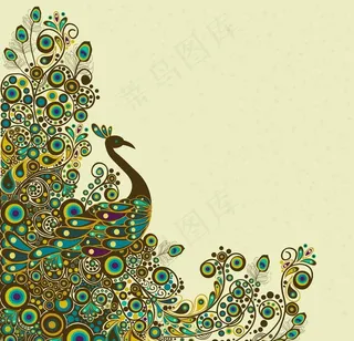 孔雀图片