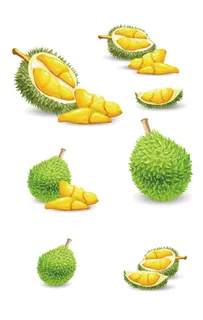 手绘水果榴莲图片