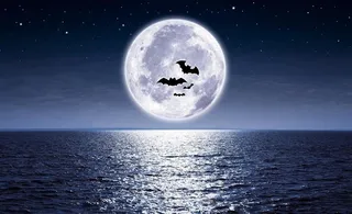 月亮 大海图片