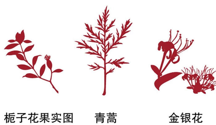 栀子花青蒿金银花矢量图片