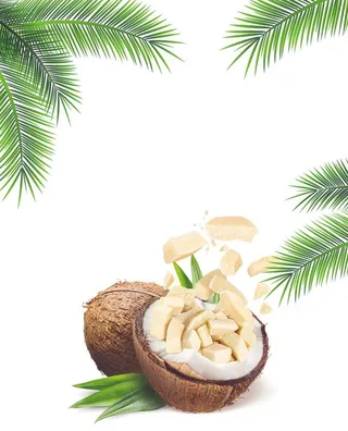 椰子块与椰子树图片