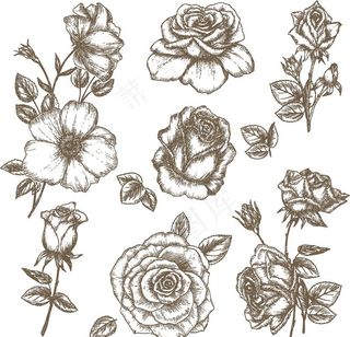 手绘花图片