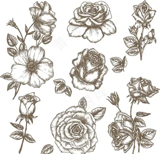 手绘花图片