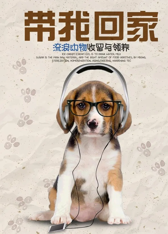 领养宠物图片(7087x9449)psd模版下载