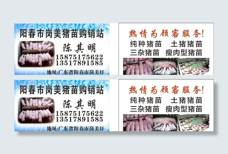 猪仔名片图片cdr矢量模版下载