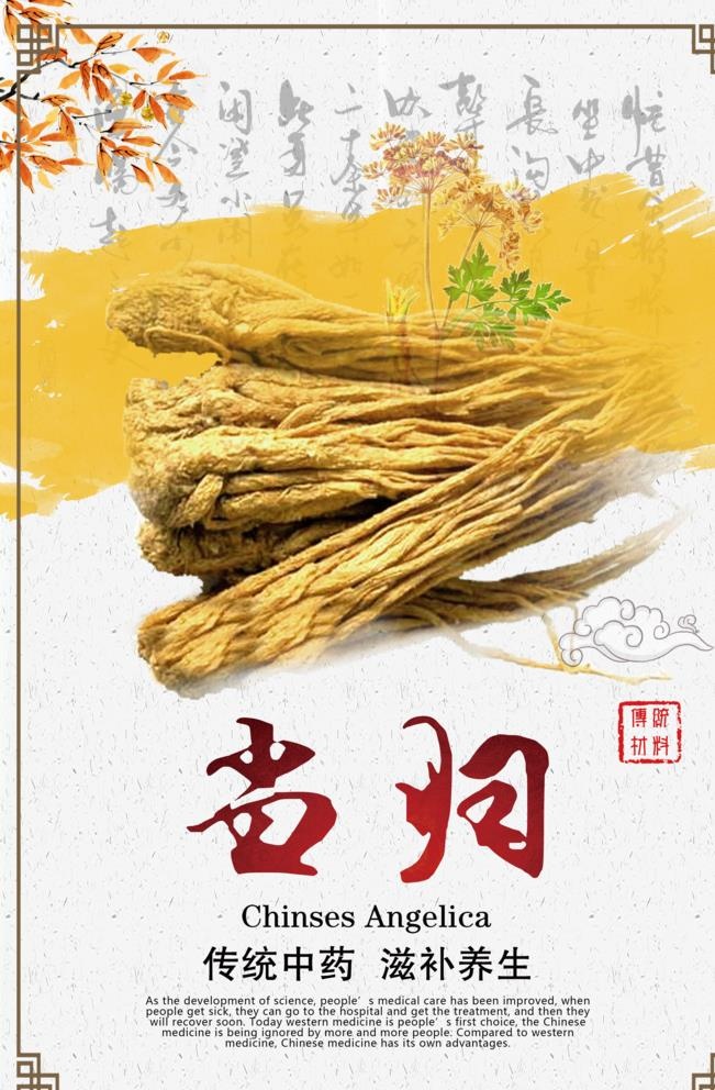 中国风当归中药海报图片