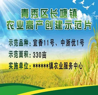 农业高产创建示范片图片