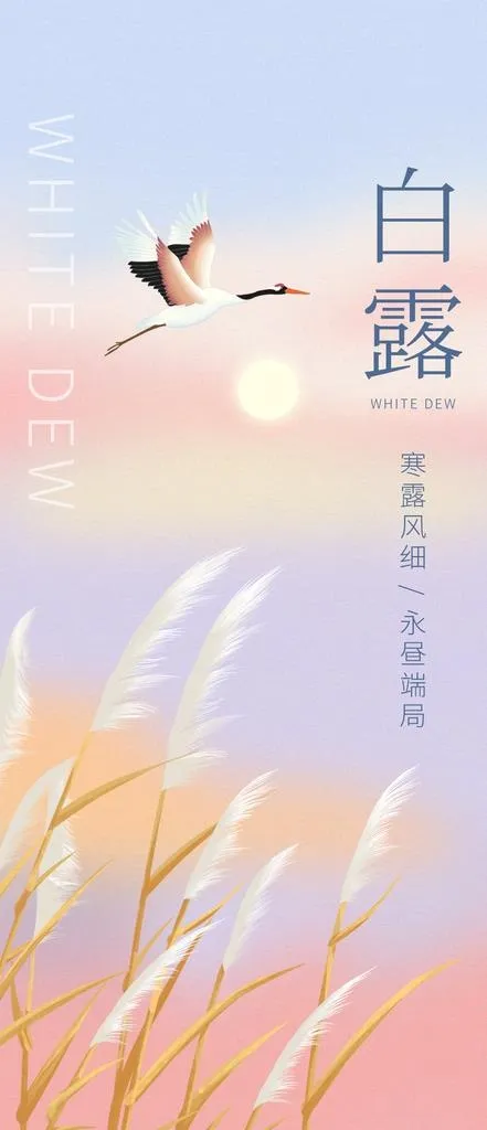 白露海报图片(1242x2688)psd模版下载