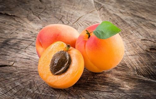 杏子图片 杏子图片