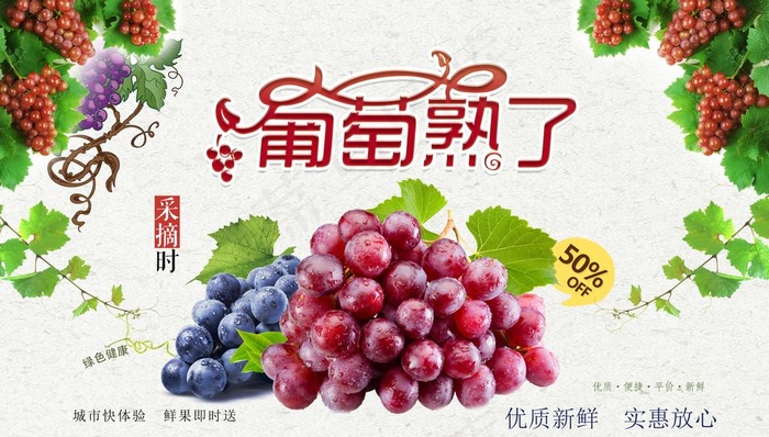葡萄采摘园海报图片