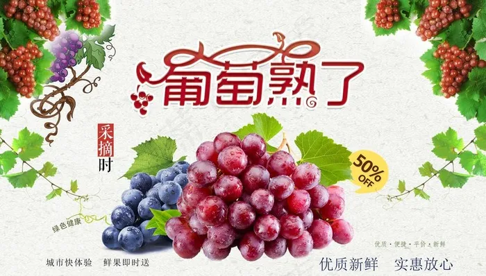 葡萄采摘园海报图片