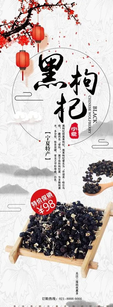 黑枸杞图片psd模版下载
