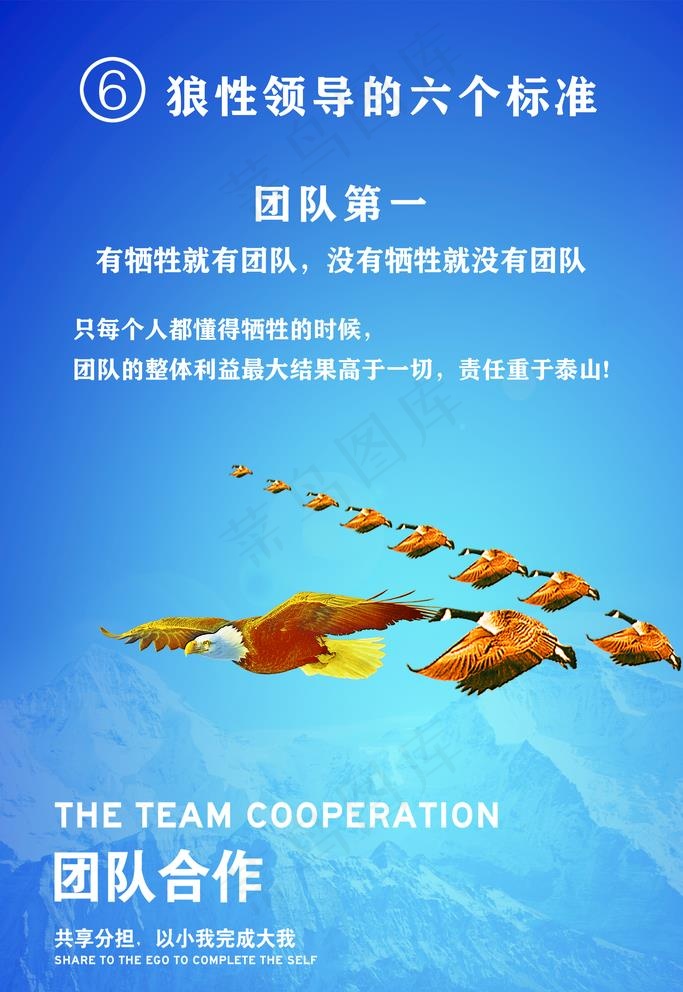 公司管理标准 团队图片
