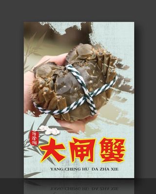 阳澄湖大闸蟹 鲜活螃蟹图片