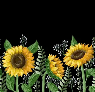 手绘向日葵素材图片