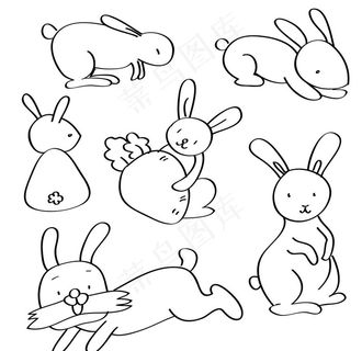 兔子图片