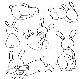 兔子图片