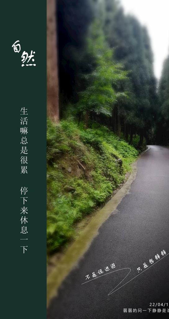 手机壁纸 自然图片(1063x1890)psd模版下载