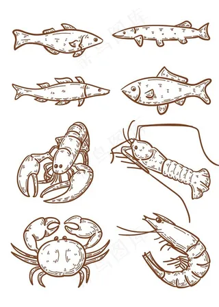 海鲜图片