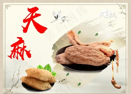 天麻图片