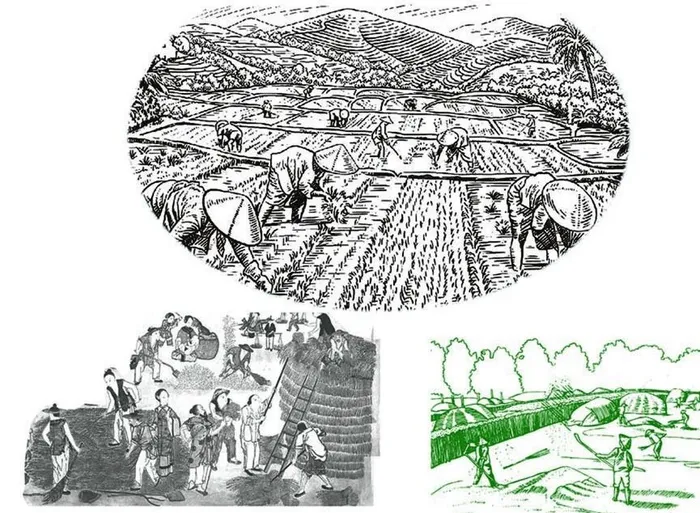 农田劳作素材图片ai矢量模版下载
