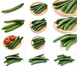 黄瓜图片