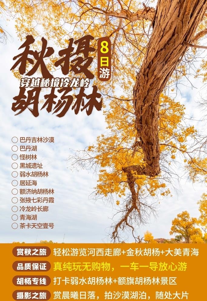 胡杨林图片
