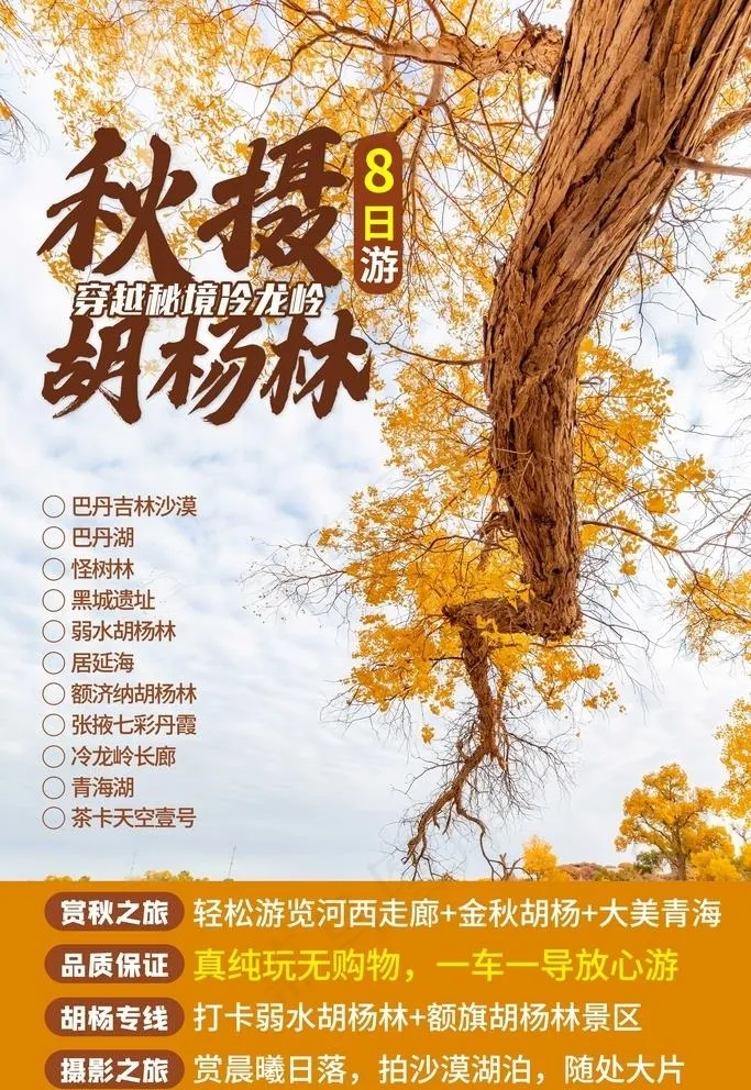 胡杨林图片(3545x5315)psd模版下载
