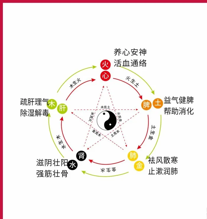 金木水火土养生太极矢量图图片cdr矢量模版下载