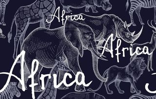 动物丝巾图案图片