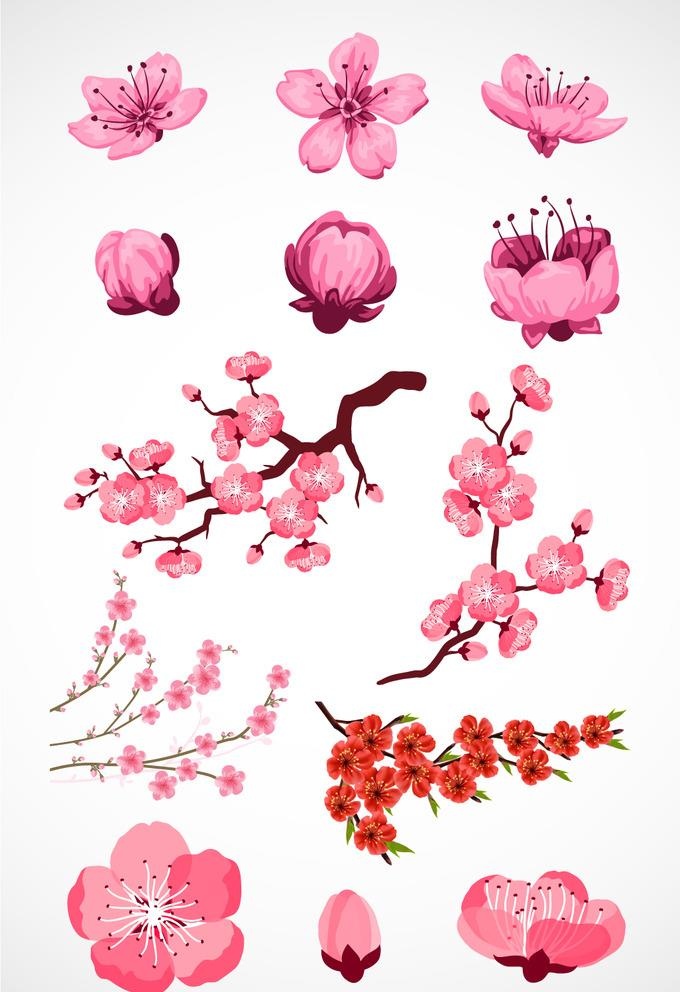 矢量桃花桃枝图片
