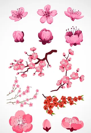 矢量桃花桃枝图片