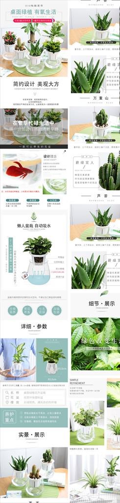 简约日常需求鲜花园艺绿植详情页图片