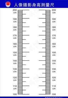 人像摄影身高测量尺图片