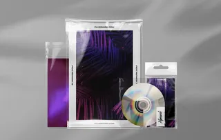 潮流透明褶皱包装样机组合图片