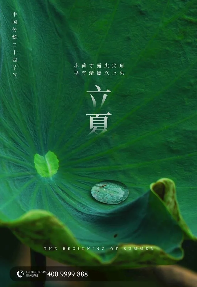 立夏图片(3543x5315)psd模版下载