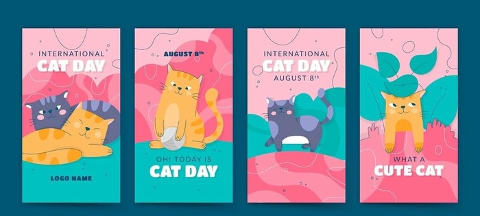 卡通猫图片
