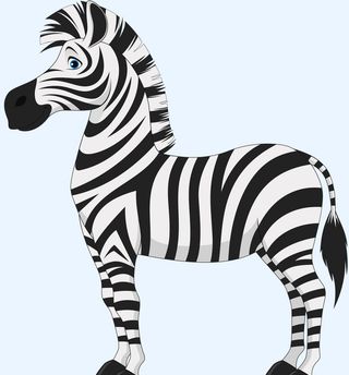 斑马图片