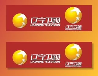 辽宁卫视图片