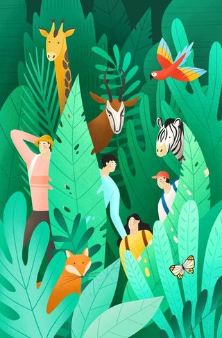 热带植物动物游玩插画图片