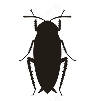 矢量蟑螂图片