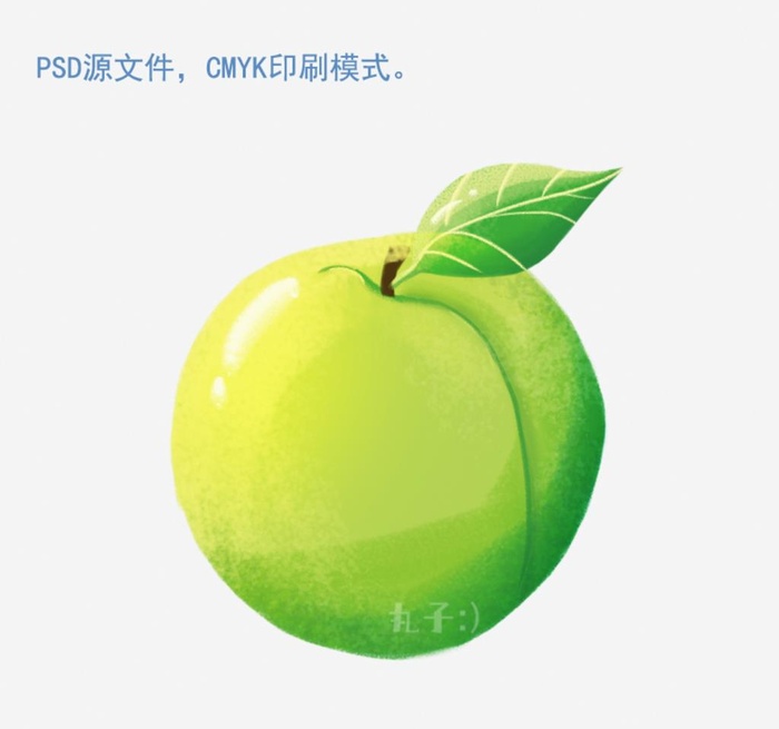 青梅插画图片